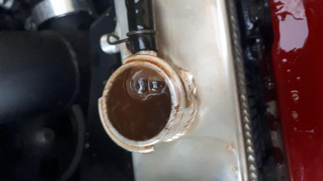 Kühlkreislauf Spülen