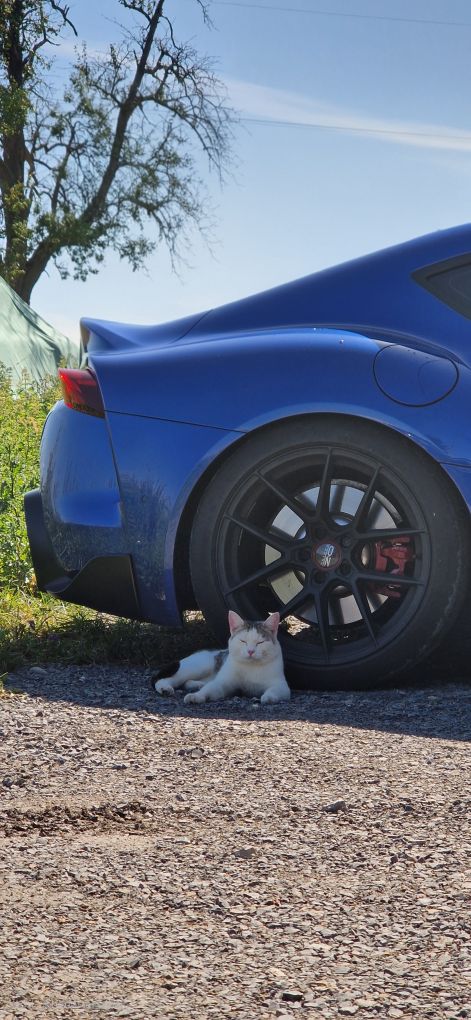 Photo of rbnXmkv Parkraumüberwachung