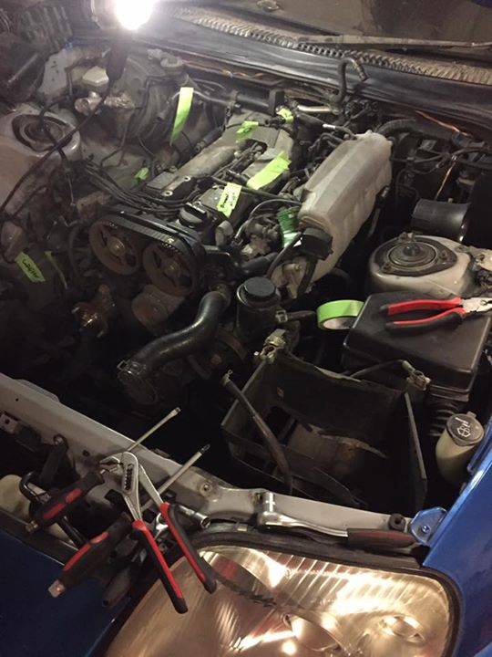 Photo of Jacky1711 The Show must Go on